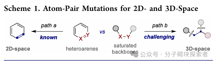 Photoinduced Decarboxylative Allylation: Dual Atom Substitution for sp3 Fragment Skeleton Editing