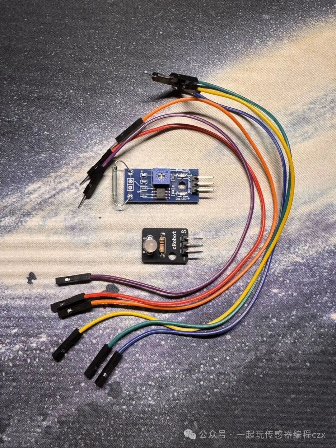 10. Reed Switch Sensor