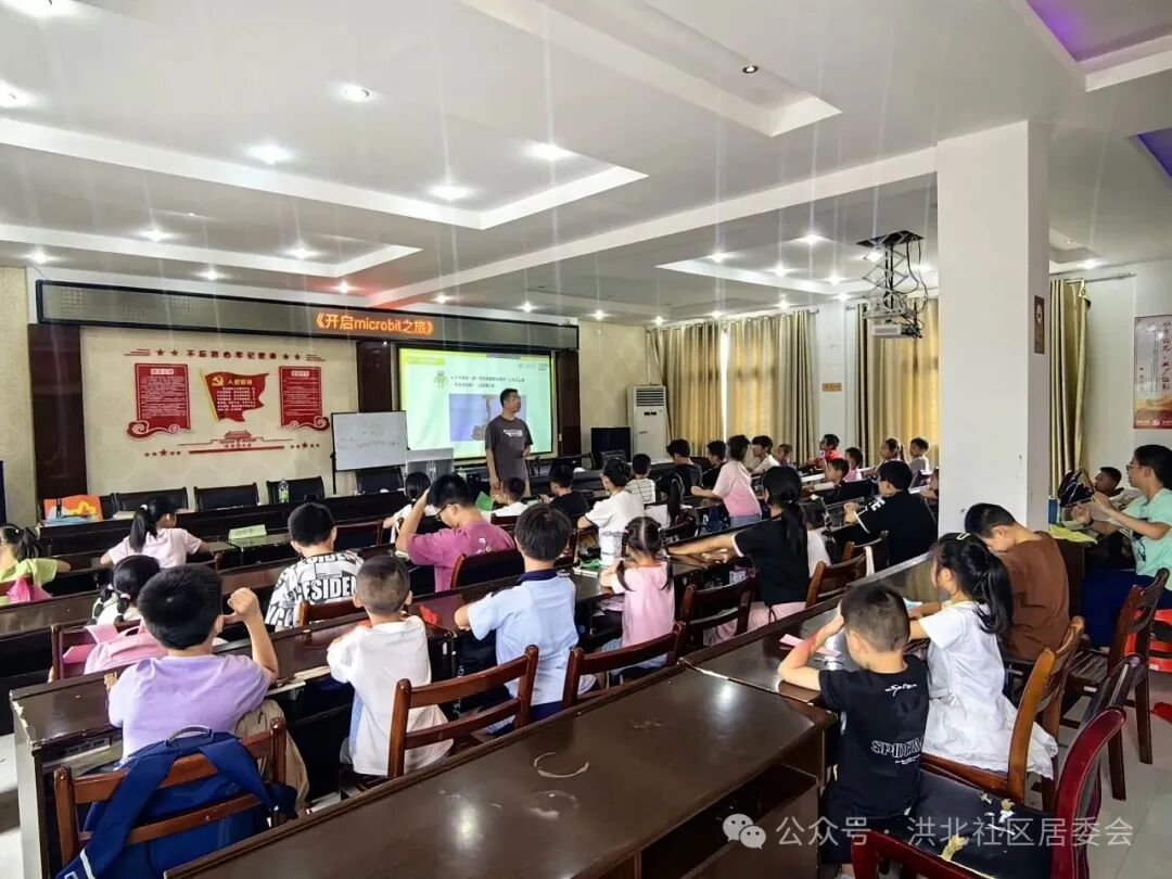 Embarking on a Micro:bit Journey to Ignite Youth Programming Dreams