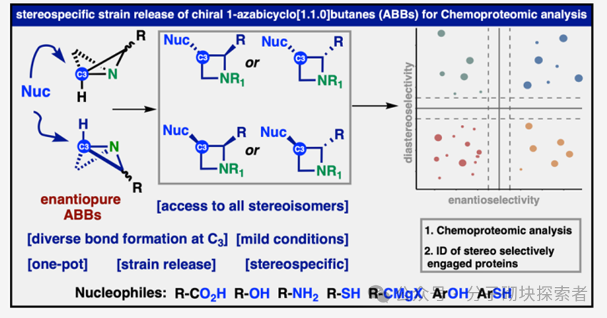 Synthesis of Stereocontrolled Azetidine Library via Strain-Release Functionalization of 1-Azabicyclobutanes