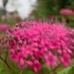 Chips May Become the Main Focus Again!