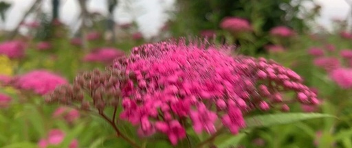 Chips May Become the Main Focus Again!