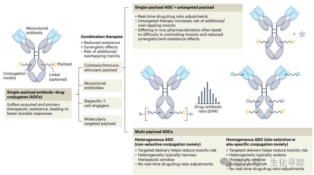 New Pathway for ADCs - Dual Payload ADCs