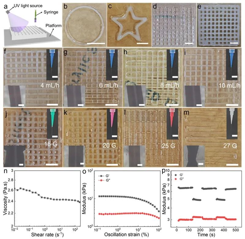 Multimodal Microfluidic 3D Printing Achieves Low-Temperature Polymerization of Hydrogels