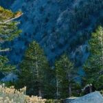 Stop Tying Down MySQL! The Ultimate Guide to Nacos Embedded Derby Solutions and Database Selection