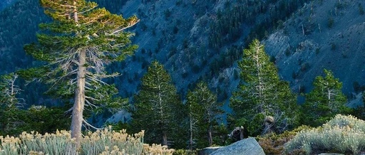 Stop Tying Down MySQL! The Ultimate Guide to Nacos Embedded Derby Solutions and Database Selection