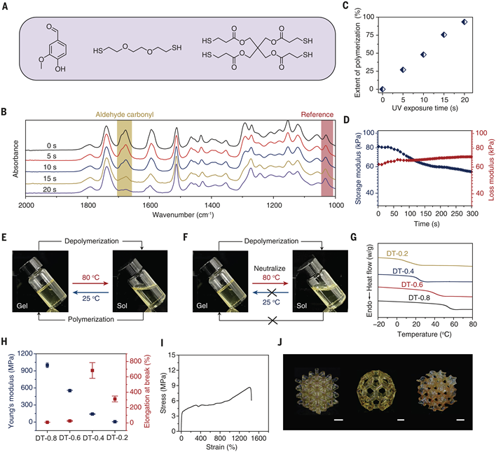 Circular 3D Printing of High-Performance Photopolymers through Dissociative Network Design