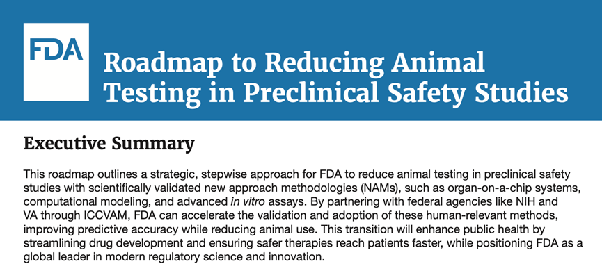 Industry Insights | Research Report on AI and Organoids and Organ-on-Chip Technologies