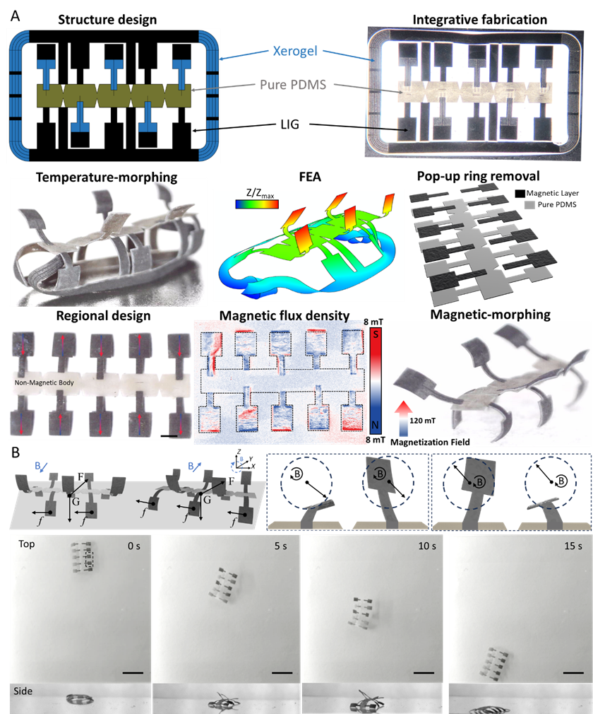 A New Paradigm for Programming Magnetic-Controlled Microrobots: A Joint Achievement by Xi'an Jiaotong University, City University of Hong Kong, and the Max Planck Institute Published in PNAS!