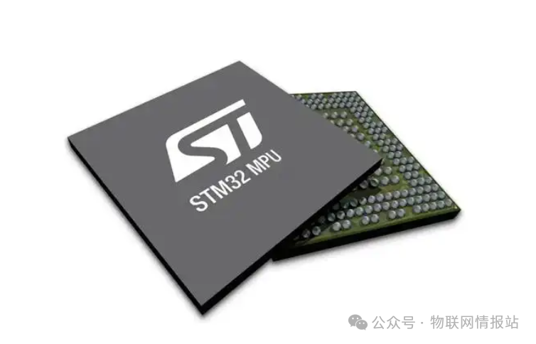 An Analysis of the Differences Between MCU and MPU