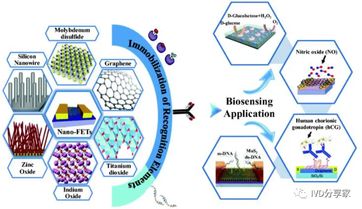 Principles of POCT Technology | Chemiluminescence, Biosensors, Microfluidics, Immunochromatography...