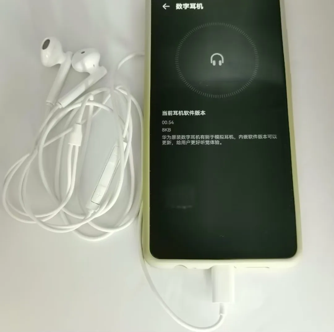18 Yuan Type-C Wired Earphones with Built-in DAC Chip and OTA Firmware Upgrade