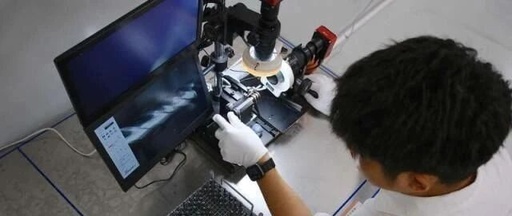 Reasons Why the PLC Does Not Execute After Downloading Programs with Boto Software