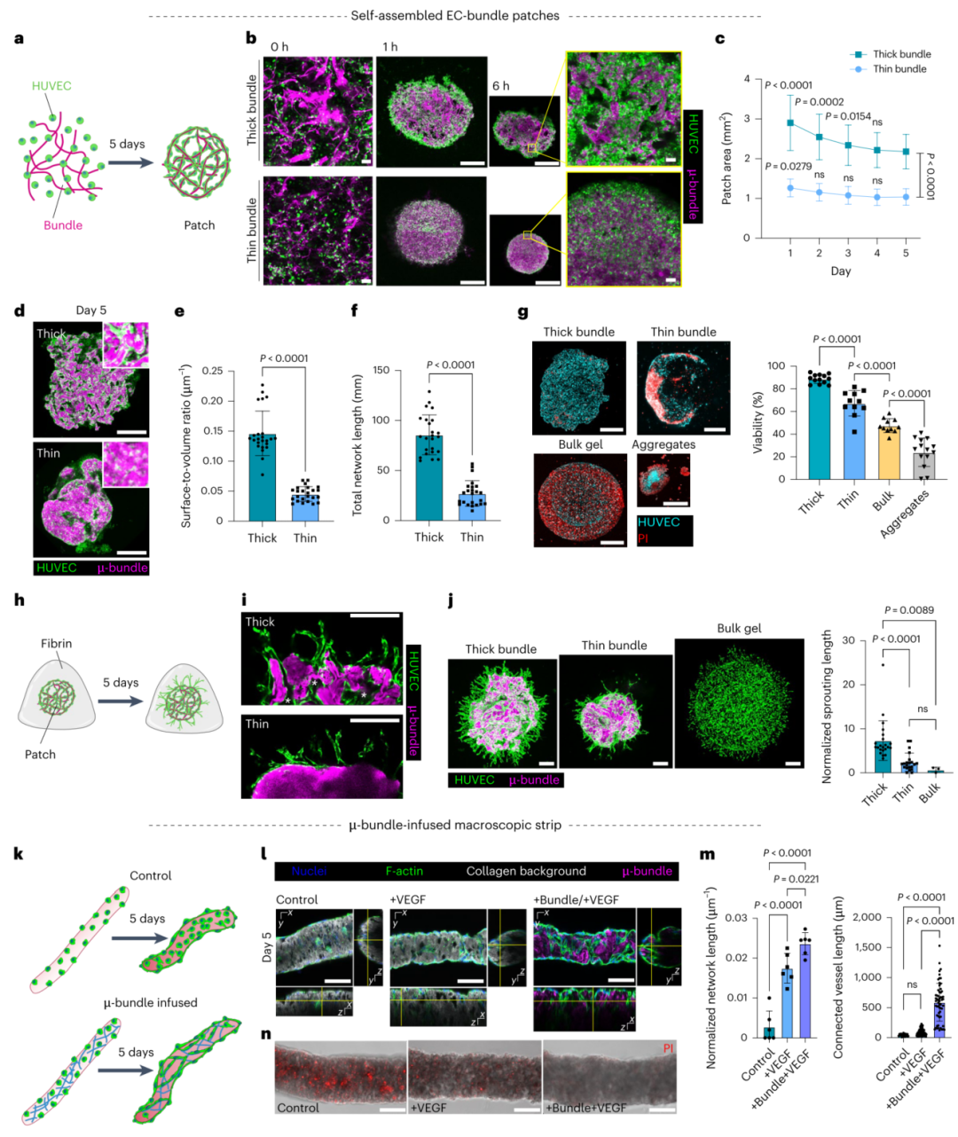 3D Bioprinting | Gelation in Less Than 1 Second, Featured in Nature Materials!