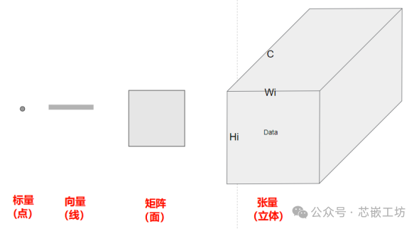 Mathematical Foundations of Neural Networks (ANN) in NPU Neural Processing Units