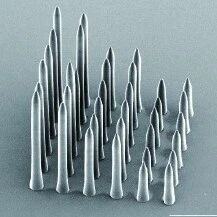 Soft 3D Bioelectrodes for Intraorganoid Signal Monitoring in Cardiac Models