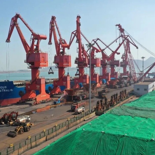 The First Domestic PLC Control System Retrofit Project for Port Gantry Cranes Successfully Passes Acceptance