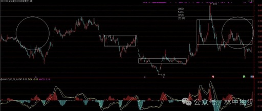 Robot Industry Duel: Who Will Continue the Streak of Success?