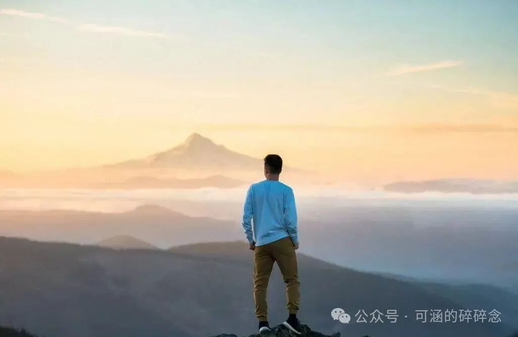 Java or Embedded Systems? Software Salaries are High, but Hardware Faces a 35-Year Crisis. Insights from Senior Engineers in Major Companies