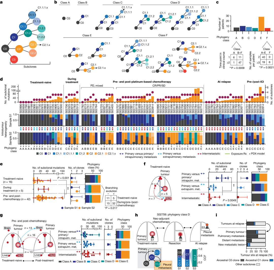 How to Use MATLAB to Retrieve All Illustrations from Nature (Including Images from 2023-2025)