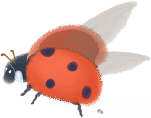 Image Encryption Using SIT: A Lightweight Encryption Algorithm for Secure IoT (Matlab Code Implementation)