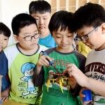 Exploring Maker Education: Current Status, Challenges, and Effective Approaches in Primary and Secondary Schools