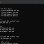 Setting Up a Simulation Environment for IoT Vulnerability Analysis