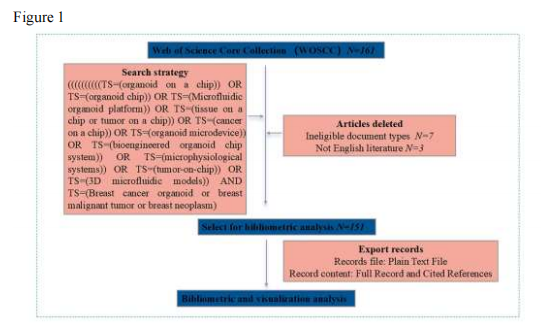 Bibliometric Insights into Breast Cancer Organoid Chips: Trends & Emerging Areas
