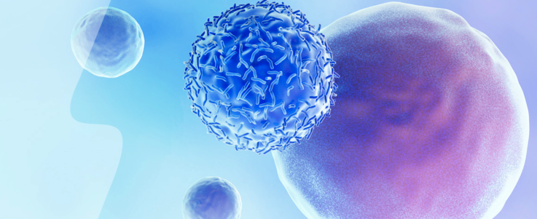 TF ADC Competition Accelerates: Zai Ding Files for Cervical Cancer Approval, Xin Nuo Wei Launches Phase III for Pancreatic Cancer