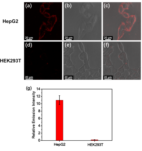 Self-Assembly of Alkynyl Platinum(II) Complexes and Their Application in Sialic Acid Detection and Differentiation of Cancer Cells from Normal Cells