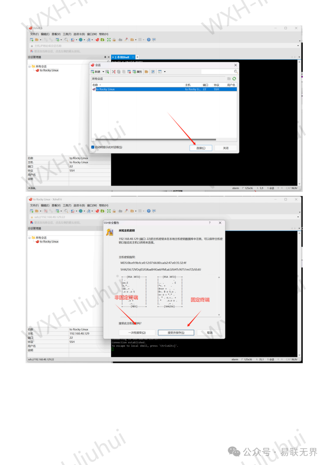 SSH Remote Login to Rocky Linux