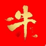 6.19 Information Disparity (AI Compensation, Middle East, Robotics, Nuclear Power, Autonomous Driving, Stablecoins, and Incremental News)