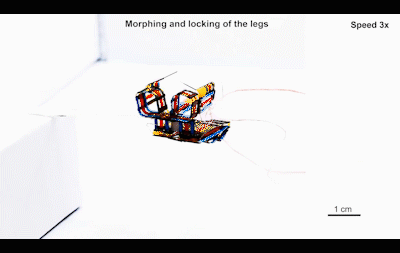 The Birth of the World's Smallest Wireless Amphibious Robot Weighing 25 Grams