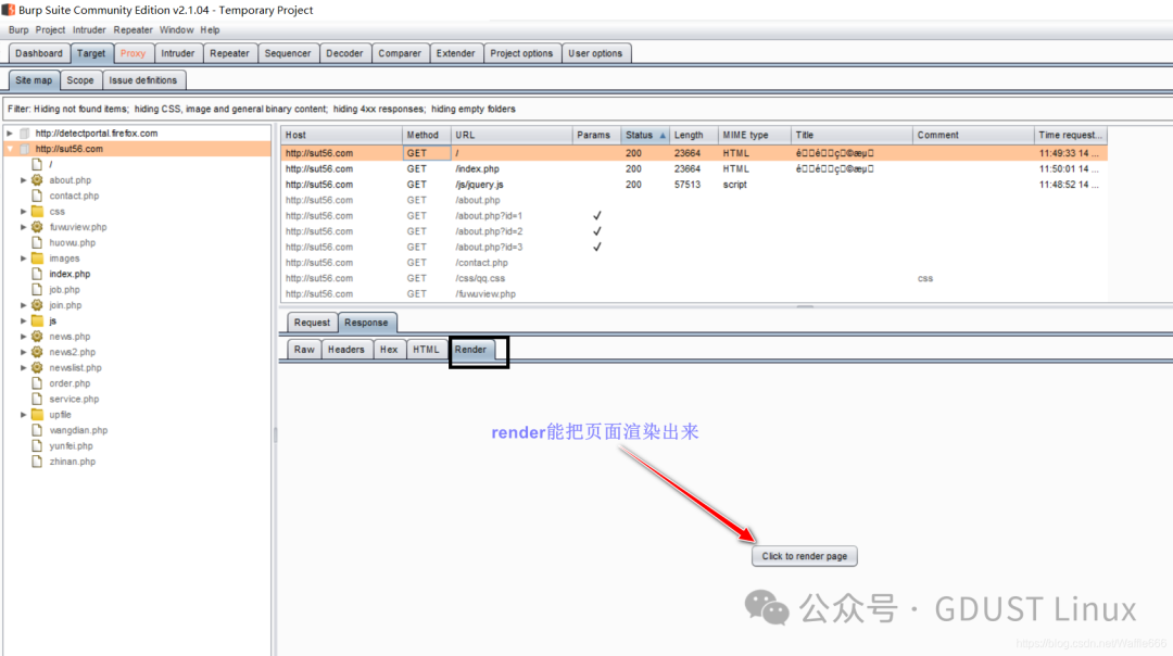 Linux Lesson 5: Web Security Vulnerabilities