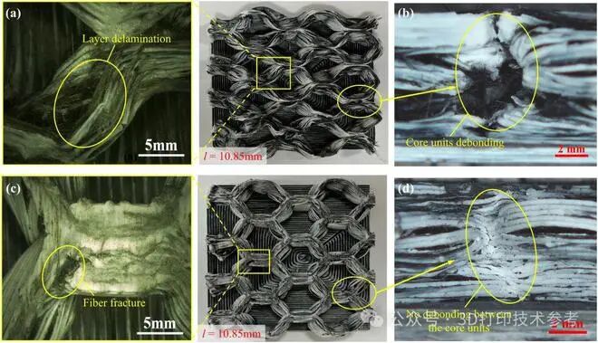 Dalian University of Technology Achieves New Heights in Continuous Fiber Reinforced Honeycomb 3D Printing!