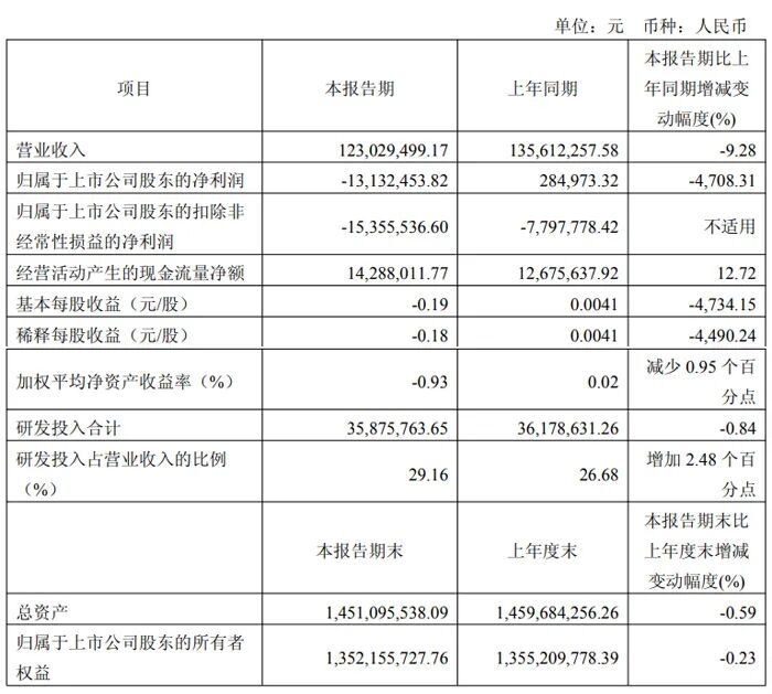 Summary of Q1 2025 Financial Reports from 20 Display Chip Companies Including Weir Shares, Allwinner Technology, and Rockchip