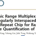 Wide Dynamic Range Multiplex Digital CRISPR Chip for Absolute Quantification of Nucleic Acids