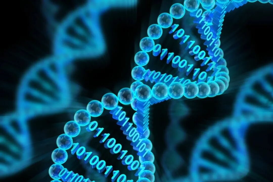 Understanding the 'Biological Chip' in the Digital World (Part 3): What Are We Building? | Atantares Technology's DNA Storage Products and Roadmap