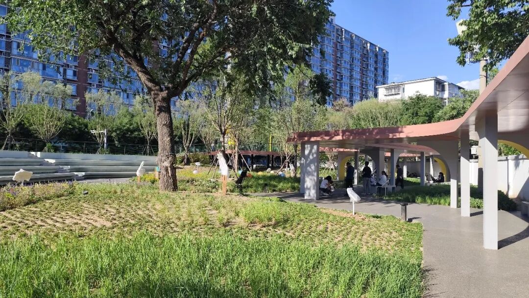 The Impact of Financial Robots on Management Accounting Practices in Enterprises