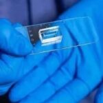 Customized Vascular Chips Simulating Real Vascular Structures to Aid Vascular Disease Research