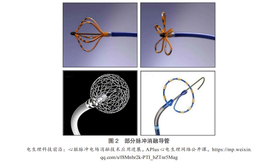 Cardiac Pacemakers and Ablation Devices