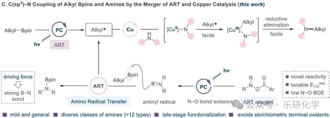 Photocatalytic N-Alkylation