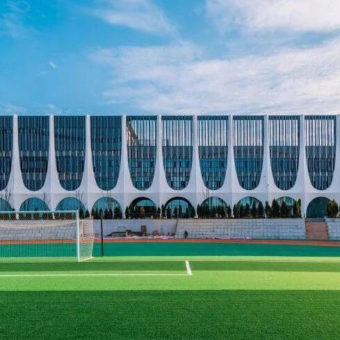 Career Directions and Prospects for IoT Engineering Professionals