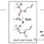Photoinduced Decarboxylative Allylation: Dual Atom Substitution for sp3 Fragment Skeleton Editing