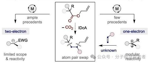 Photoinduced Decarboxylative Allylation: Dual Atom Substitution for sp3 Fragment Skeleton Editing