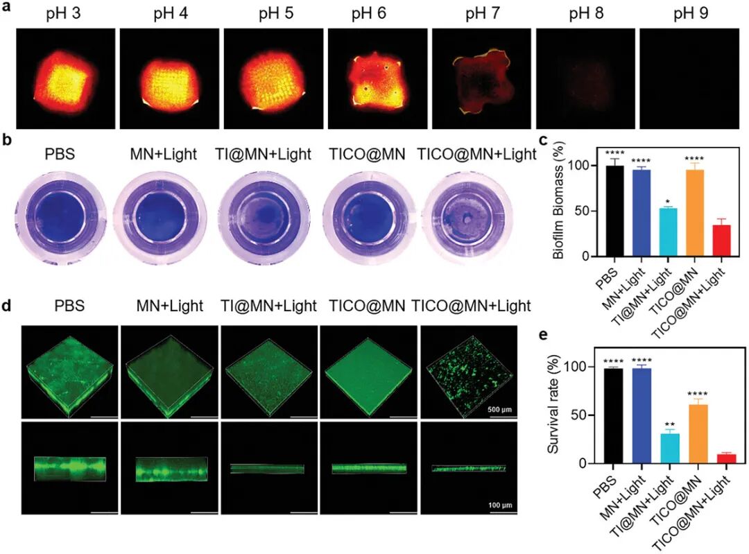 Bacterial Microenvironment-Responsive Microneedle Patches for Real-Time Monitoring and Synergistic Eradication of Infection