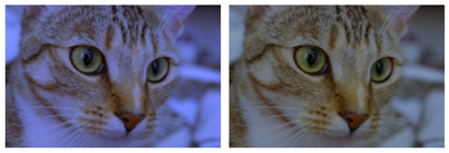 How Do In-Car Cameras See the World?