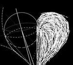 The Barrier of Blockchain Security: Elliptic Curve Cryptography