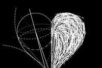 The Barrier of Blockchain Security: Elliptic Curve Cryptography