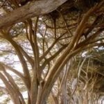 My Three Years in Yanjiao